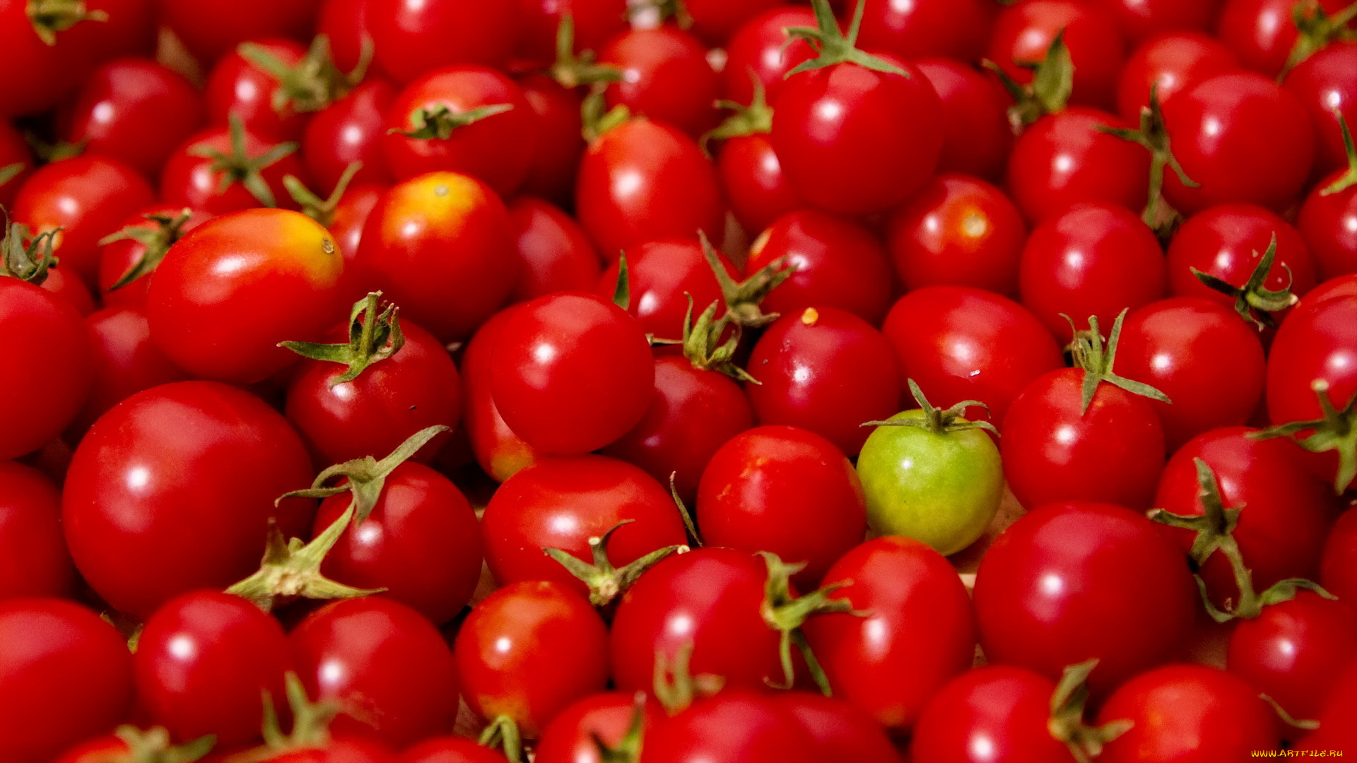 ���, ��������, ������, �����, �����, ������